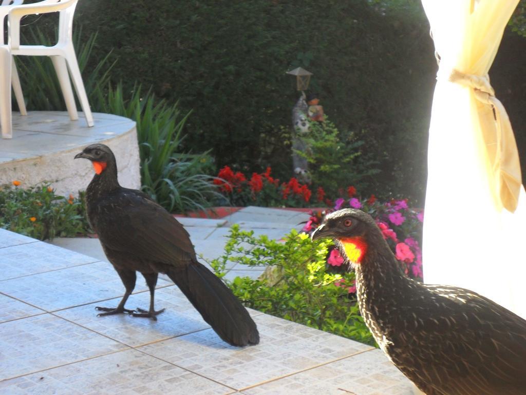 Raposa Da Montanha Casa de hóspedes Campos do Jordão