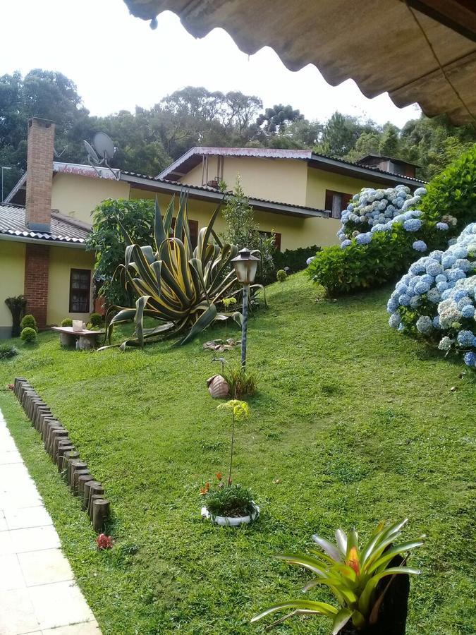 Raposa Da Montanha